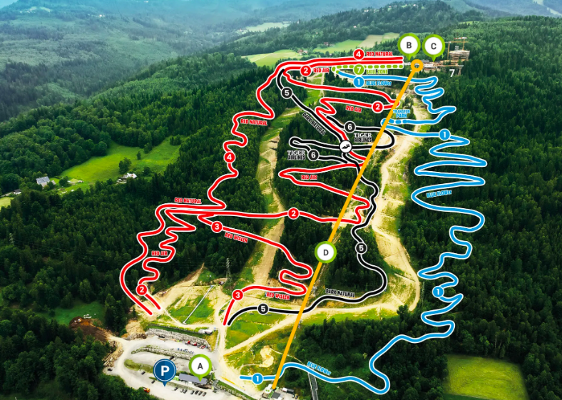 bike park Wisła Skolnity